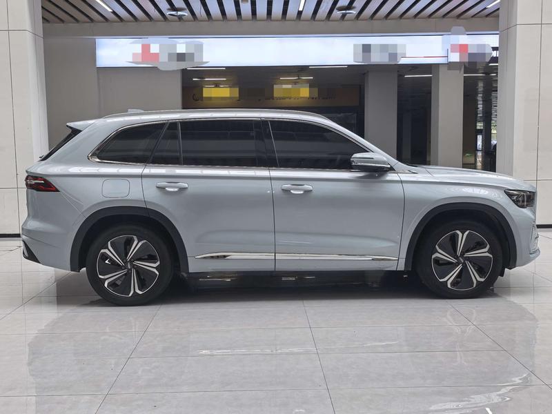 Geely Monjaro L Hybrid, 2023 — фото 7 из 12