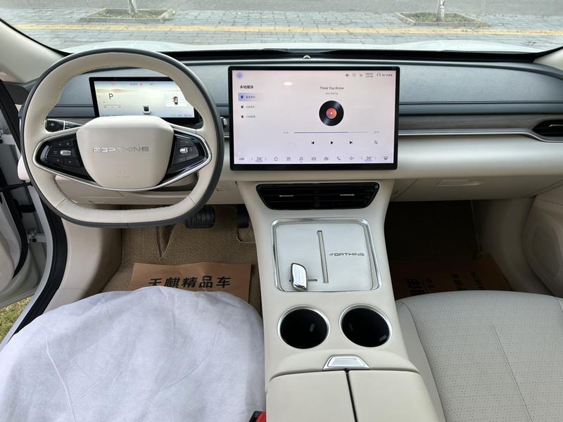 Dongfeng Forthing Xinghai S7, 2024 — фото 6 из 9