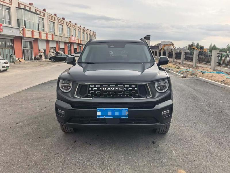 Haval H-Dog, 2023 — фото 2 из 10