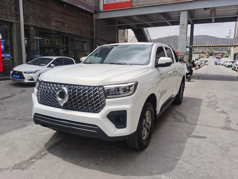 Great Wall Pao, 2023 — купить в Воронеже под ключ