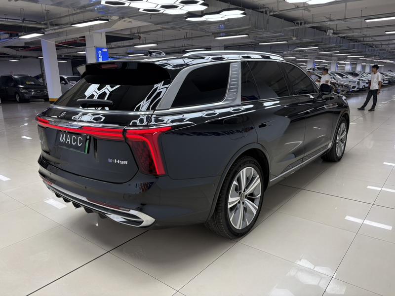 Hongqi E-HS9, 2023 — фото 6 из 10