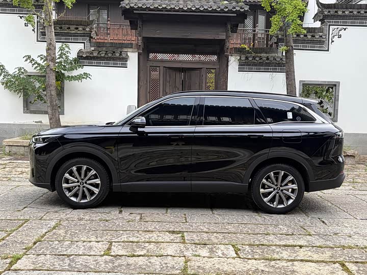 Chery Fulwin T9, 2025 — фото 4 из 9