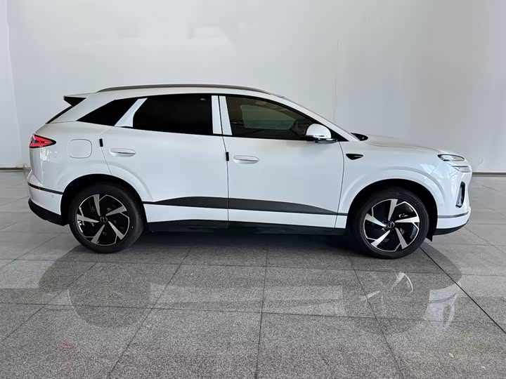 BYD Sea Lion 06 Hybrid/EV, 2026 — фото 4 из 9