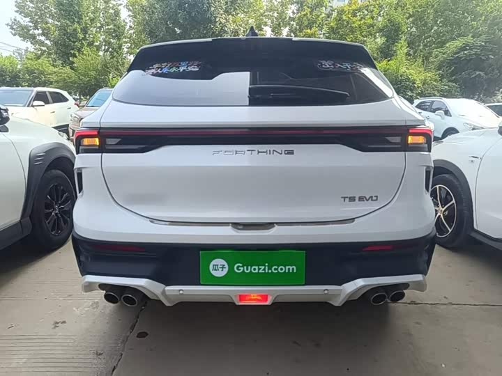 Dongfeng Forthing T5 EVO, 2023 — фото 6 из 9