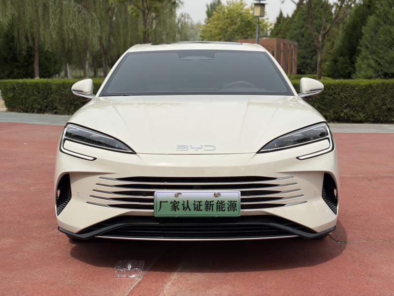 BYD Seal 07 DM-i Hybrid, 2025 — фото 2 из 9