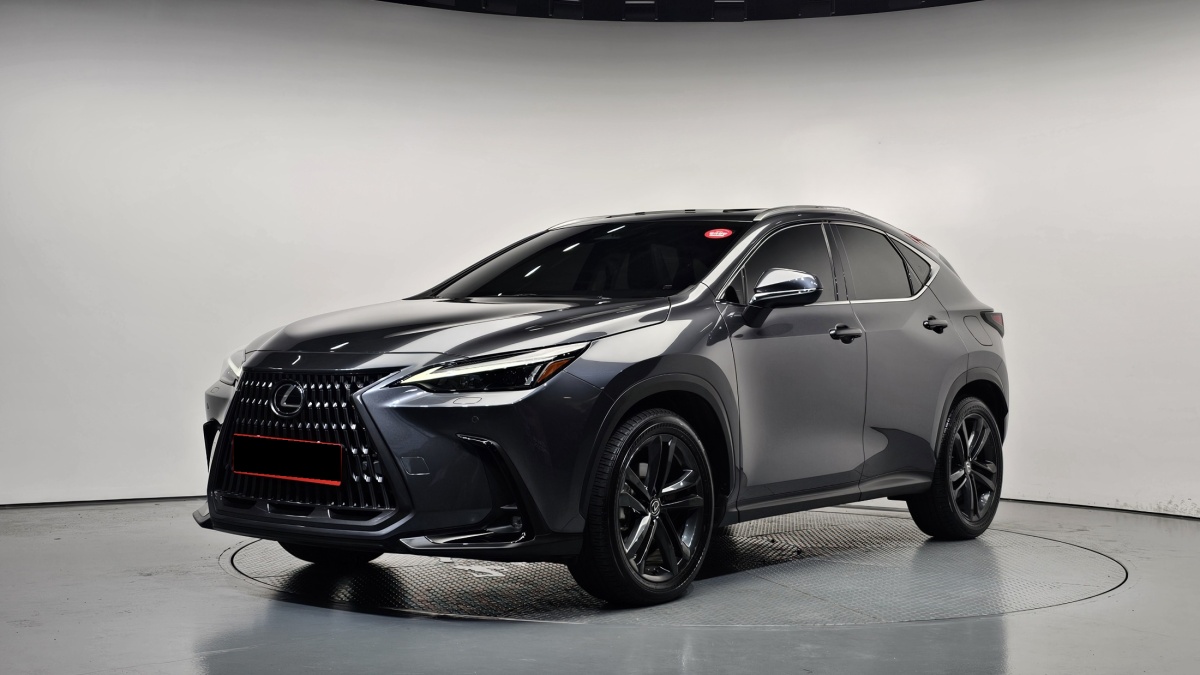 Lexus NX, 2023 — купить в Санкт-Петербурге под ключ