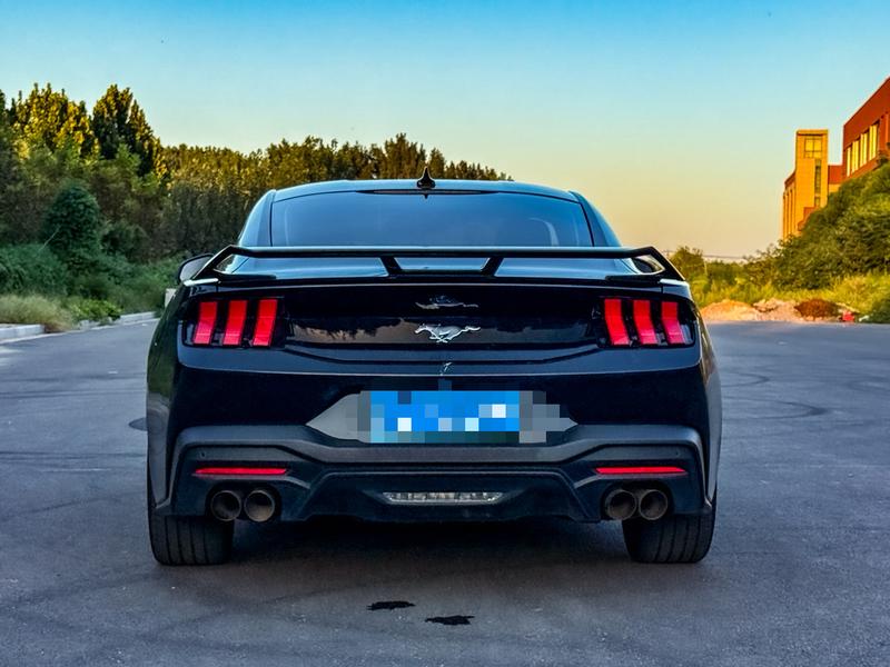 Ford Mustang, 2024 — фото 5 из 8