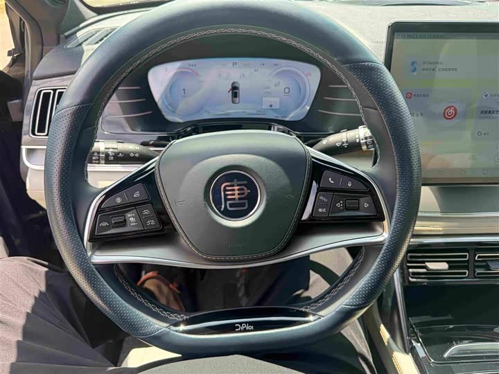 BYD Tang Hybrid/EV, 2023 — фото 9 из 9