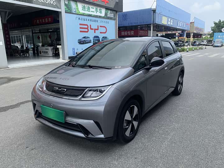BYD Dolphin, 2024 — купить в Чебоксарах под ключ