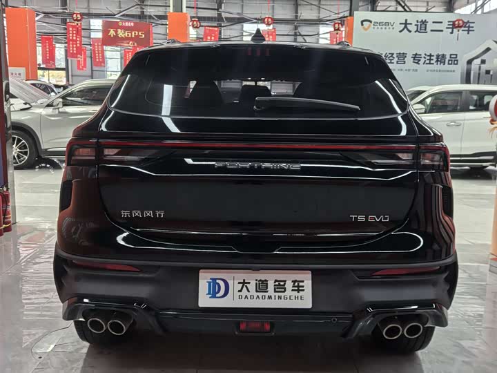 Dongfeng Forthing T5 EVO, 2023 — фото 5 из 9