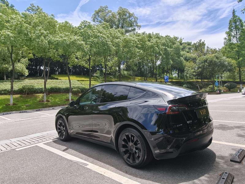 Tesla Model Y, 2023 — фото 4 из 11