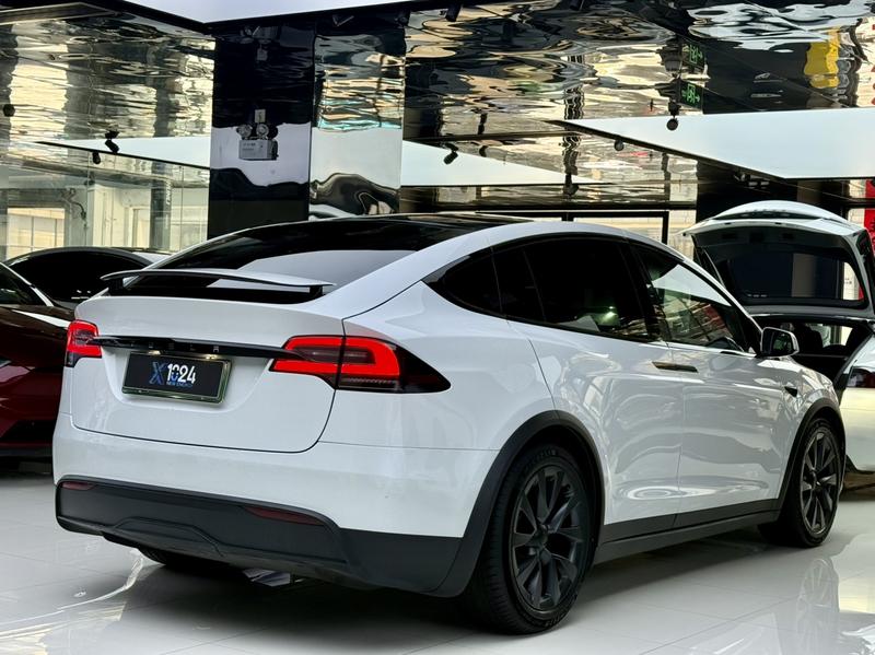 Tesla Model X, 2023 — фото 6 из 12