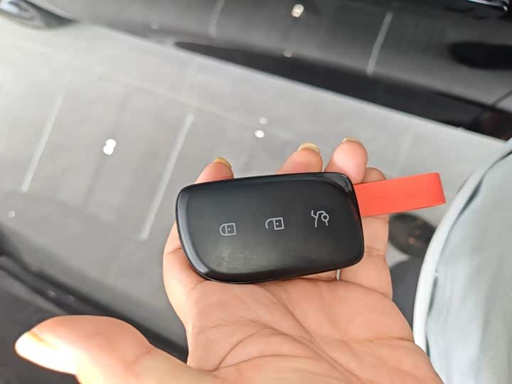 Lynk & Co 30 EM-P Hybrid, 2025 — фото 9 из 9