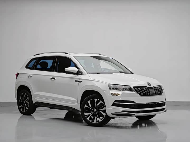 Skoda Karoq, 2023 — фото 3 из 9