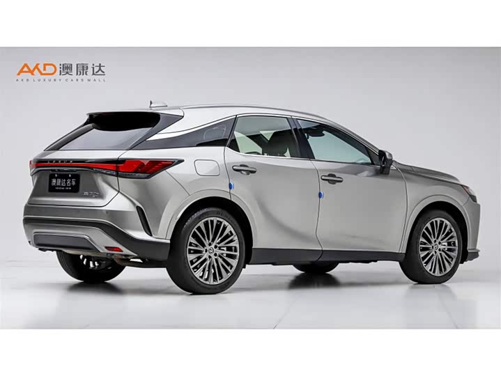Lexus RX Hybrid, 2023 — фото 3 из 9