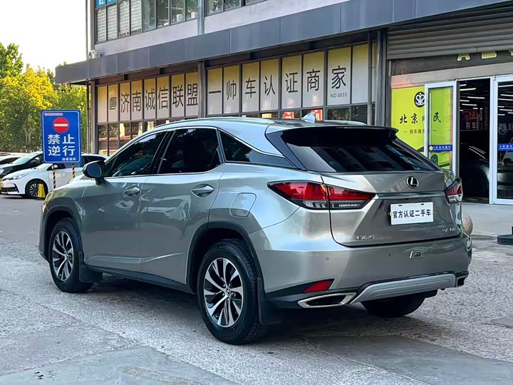 Lexus RX, 2022 — фото 9 из 9
