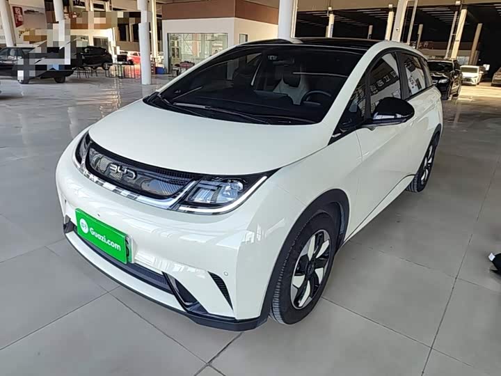 BYD Dolphin, 2024 — купить в Саранске под ключ