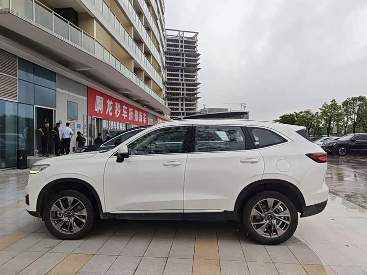 Haval H6 Hybrid, 2023 — фото 3 из 9