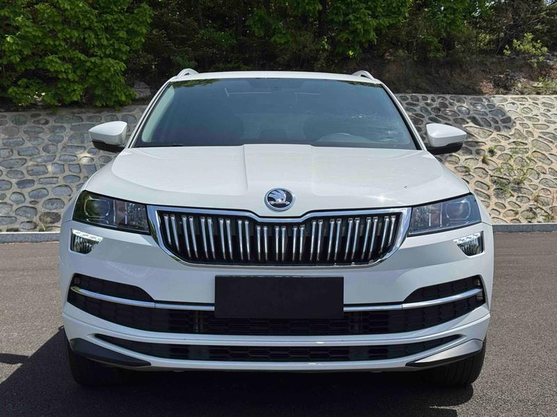 Skoda Karoq, 2023 — фото 2 из 12