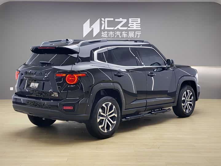 Haval H-Dog, 2024 — фото 2 из 9