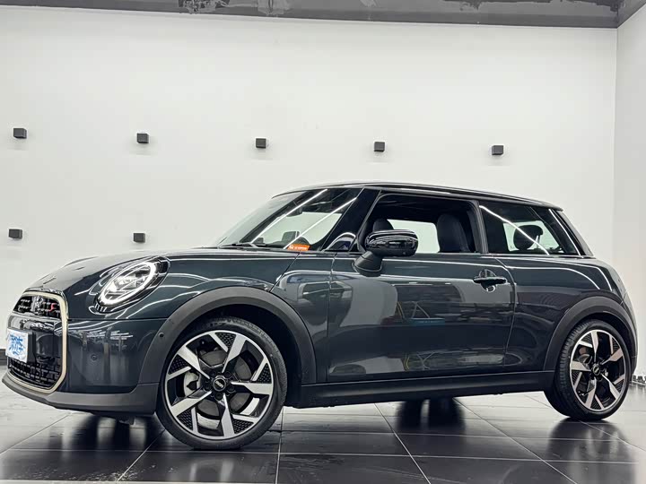 Mini Mini, 2024 — купить в Чебоксарах под ключ