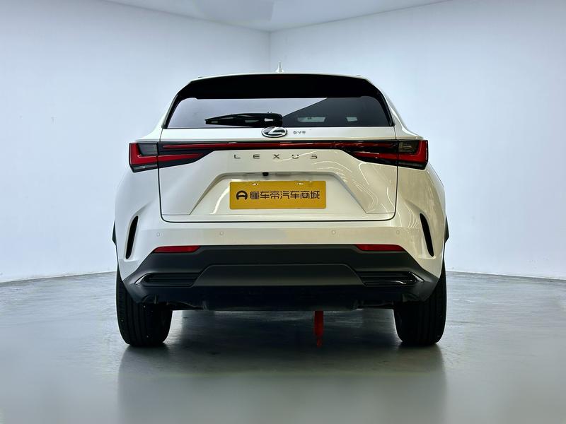 Lexus NX, 2023 — фото 6 из 12