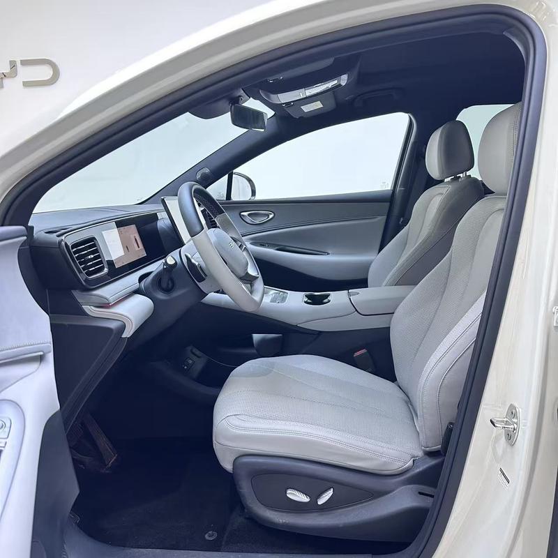 BYD Sea Lion 06 Hybrid/EV, 2025 — фото 8 из 11