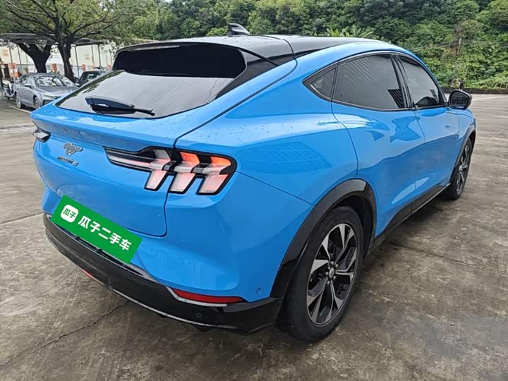 Ford Mustang Mach-E, 2022 — фото 5 из 9