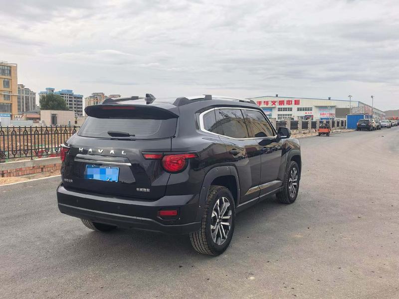 Haval H-Dog, 2023 — фото 6 из 10