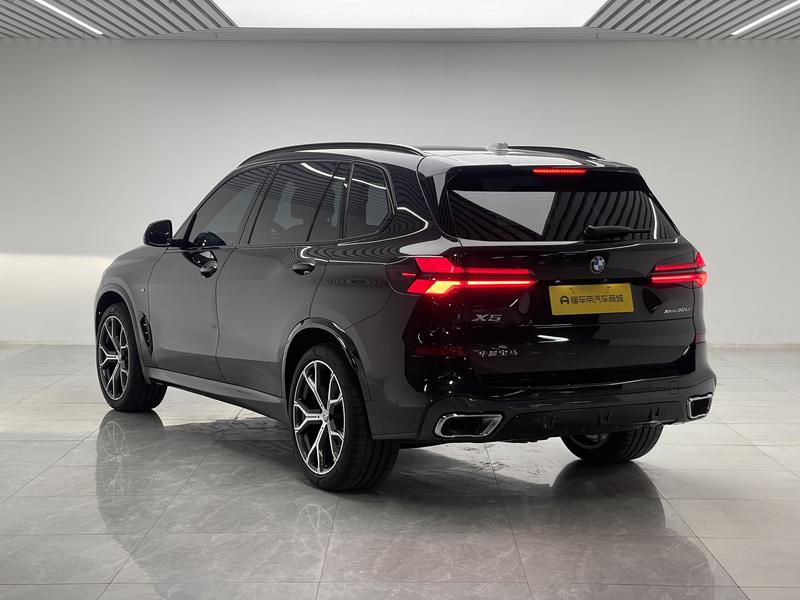 BMW X5, 2025 — фото 5 из 12