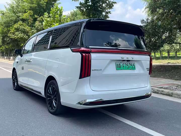 Wey 80 Hybrid, 2025 — фото 8 из 9