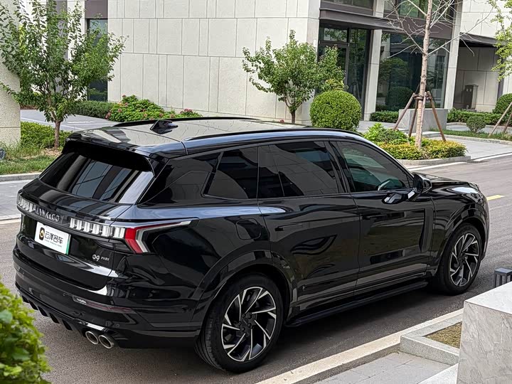 Lynk & Co 09 EM-P Hybrid, 2022 — фото 5 из 9
