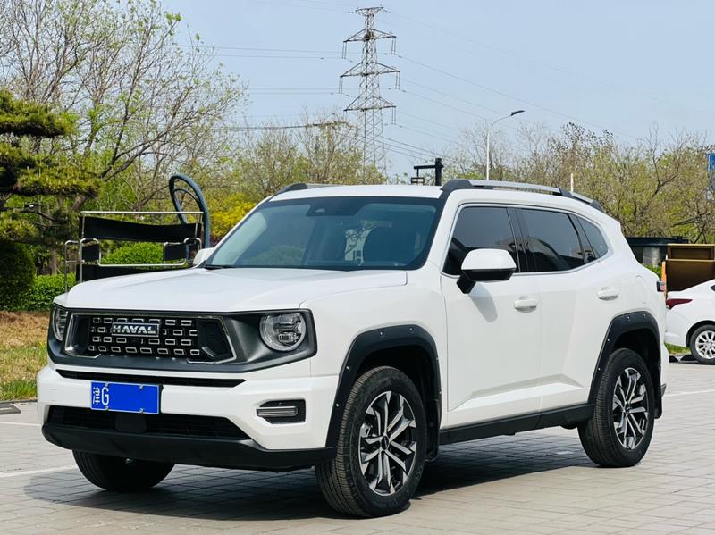 Haval H-Dog, 2024 — купить в Тольятти под ключ