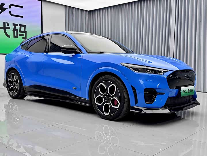 Ford Mustang Mach-E, 2022 — фото 2 из 9