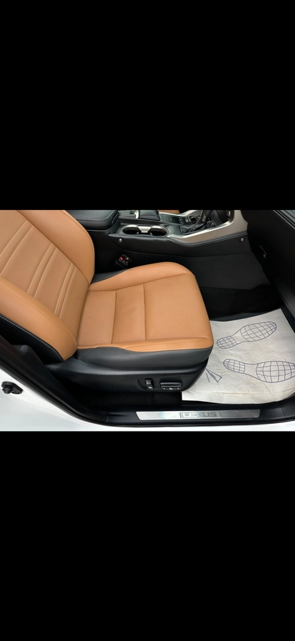 Lexus NX, 2021 — фото 12 из 12
