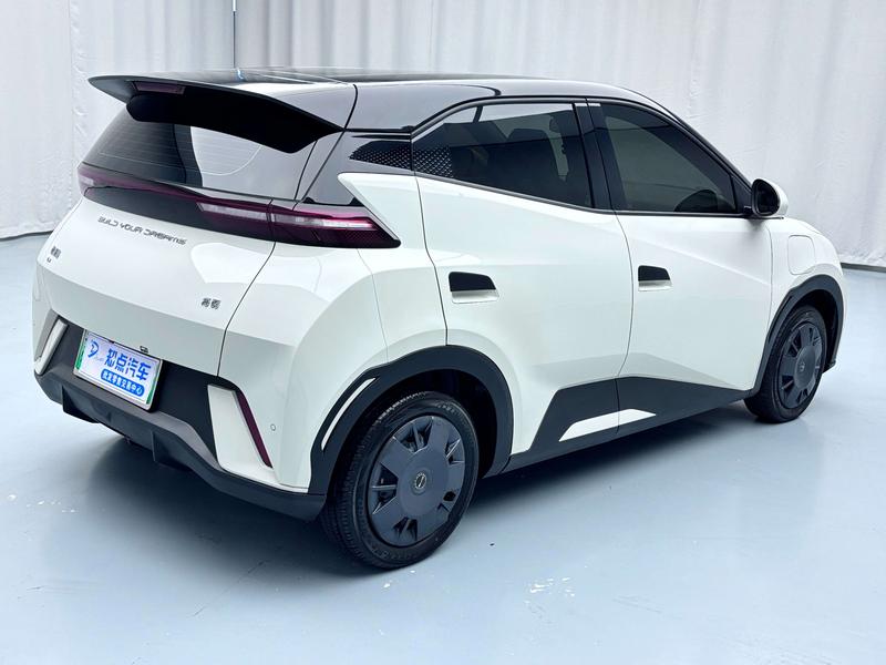 BYD Seagull, 2023 — фото 6 из 12