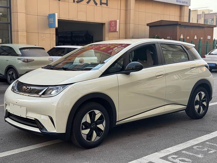 BYD Dolphin, 2026 — фото 3 из 9