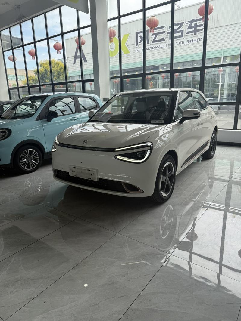 Dongfeng Yipai Nano 01, 2024 — купить в Тамбове под ключ