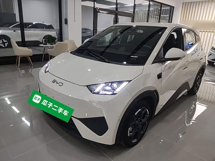 BYD Seagull, 2025 — купить в Пензе под ключ