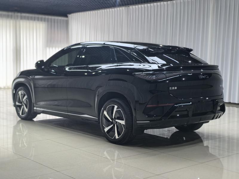 BYD Sea Lion 07 EV, 2024 — фото 5 из 12