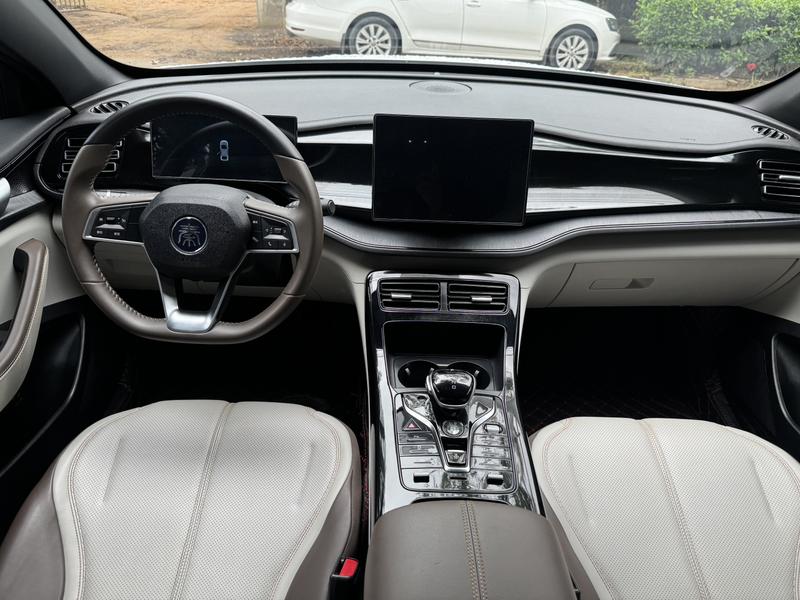 BYD Qin Plus, 2024 — фото 6 из 10
