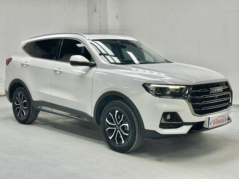 Haval H6, 2021 — фото 3 из 12