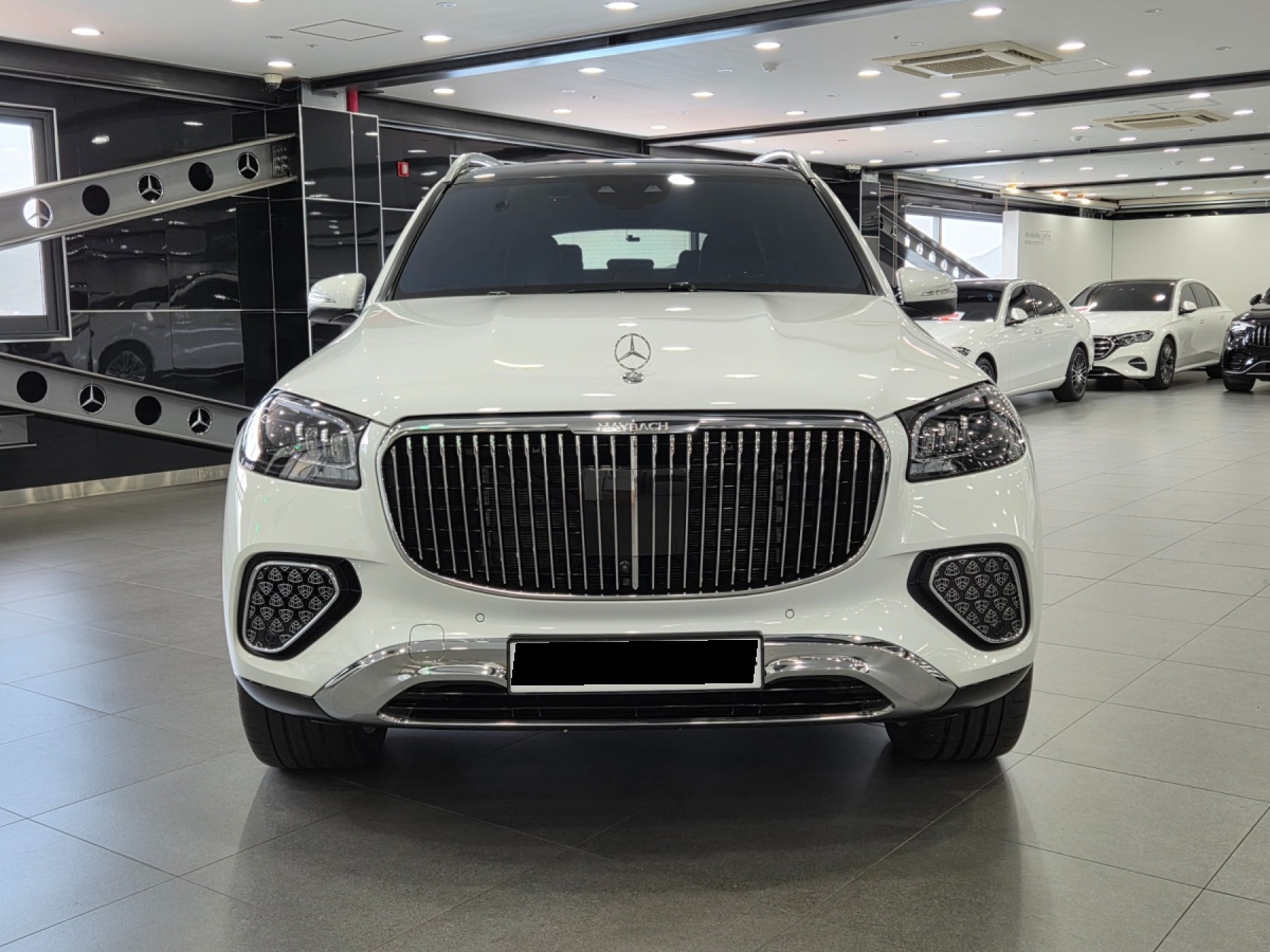 Mercedes-Benz GLS-Class, 2025 — фото 2 из 12