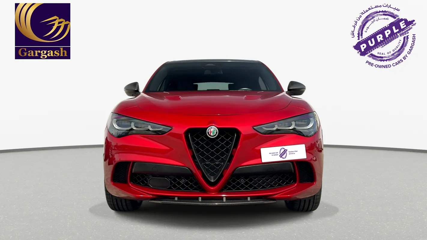 Alfa Romeo Stelvio, 2025 — фото 2 из 10