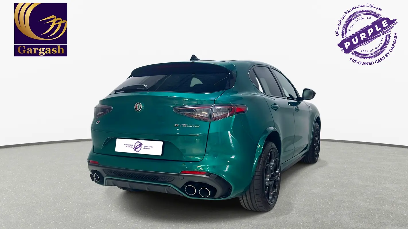 Alfa Romeo Stelvio, 2024 — фото 7 из 10