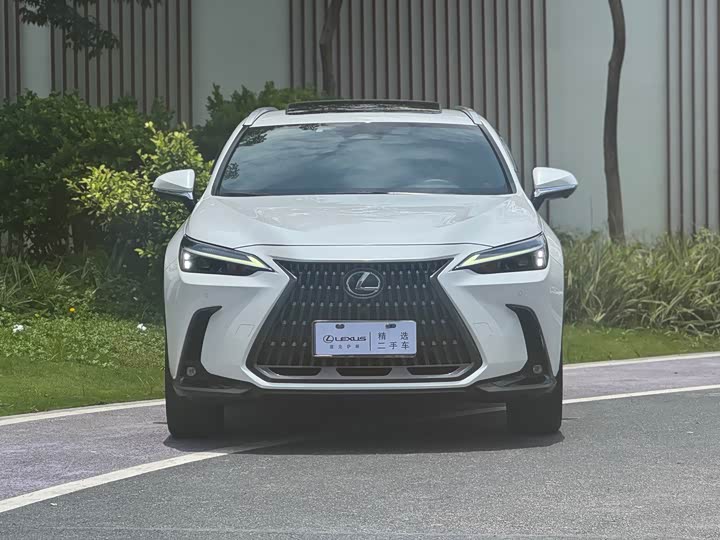 Lexus NX, 2022 — фото 2 из 9