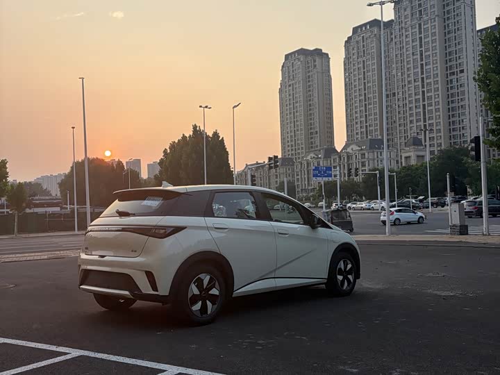 BYD Dolphin, 2026 — фото 9 из 9