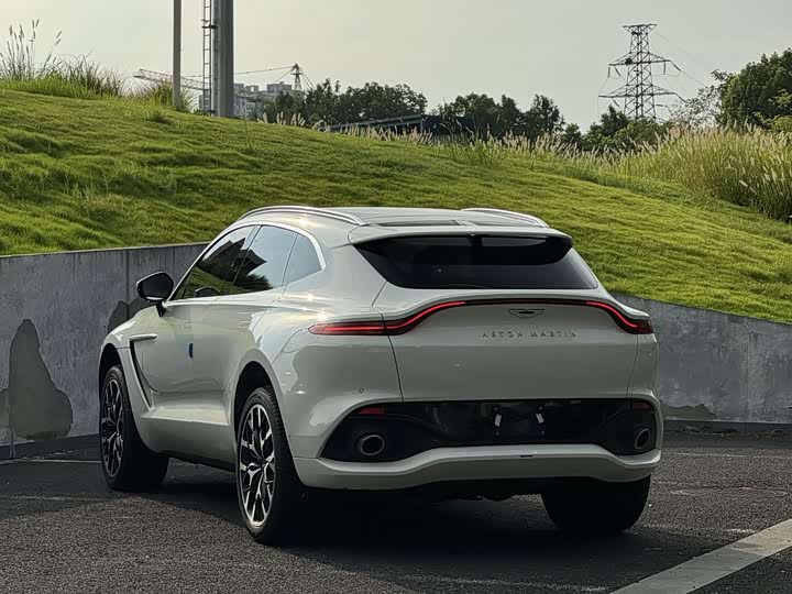 Aston Martin DBX, 2022 — фото 8 из 9