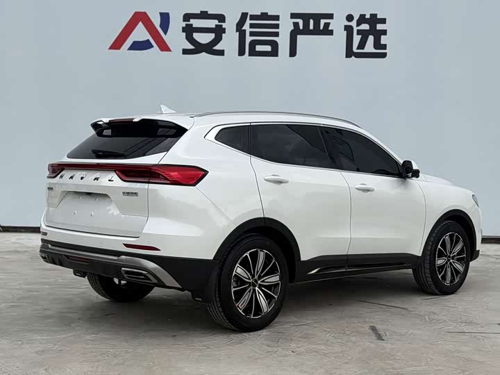 Haval H6, 2023 — фото 4 из 9