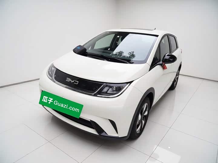 BYD Dolphin, 2025 — купить в Чебоксарах под ключ